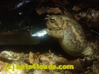 /home//u458753944/public_html/sourcegallery//McKaig Nature Center/2024-09-29/P9291594.JPG